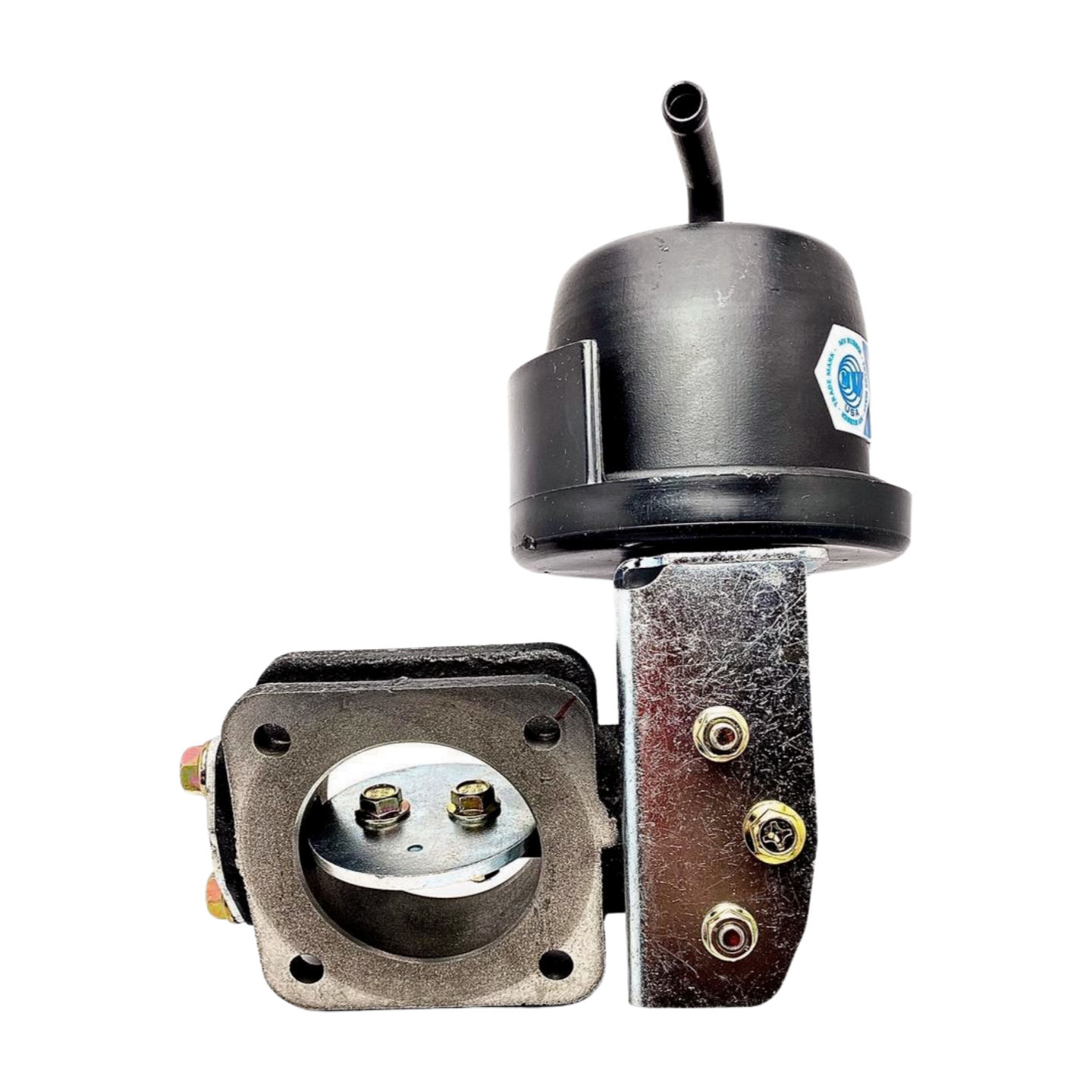 WhatsApp_Image_2025_08_28_at_5_34_25_PM